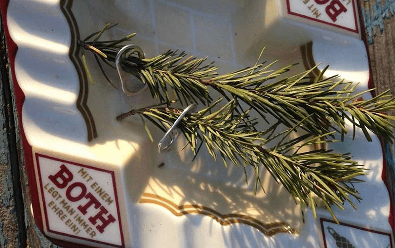 Man Received Unbelievable Gifts From Intelligent Crows He Has Been