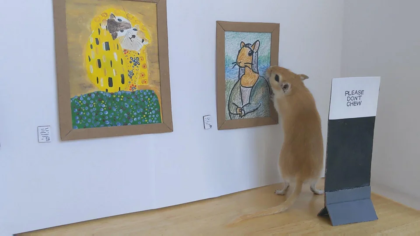 A Miniature Art Gallery for Gerbils