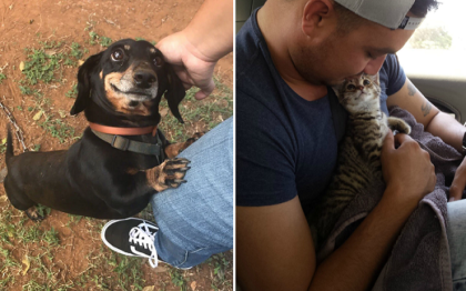 Pets Looking at their Parents Lovingly