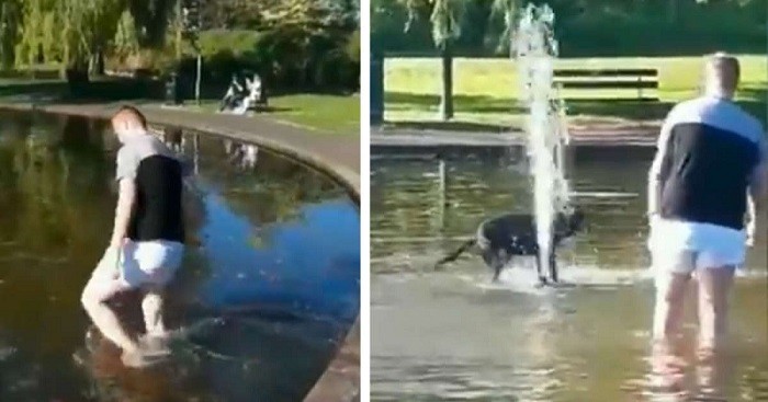 Cheeky Dog Forces Dad to Wade into the Pond in His Underwear To Get Her to Leave the Fountain