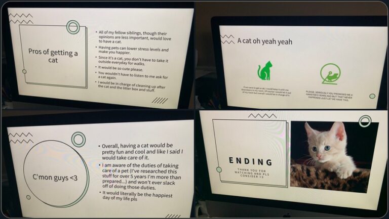 Daughter's convincing PowerPoint finally gets her a cat