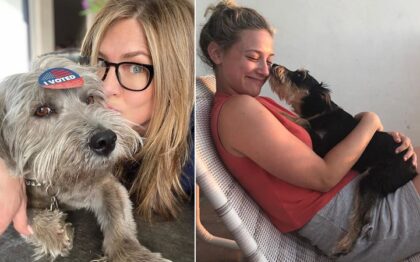 Celebrities who are Pet Parents to Rescues