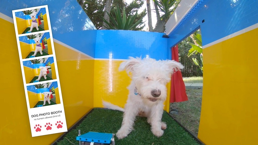 Adorable Dog Can Take Selfies Using Inventor Mom's Photo Booth