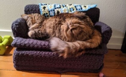 Grandma Crochets the Most Adorable Tiny Couch for Cat