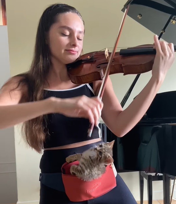 Violinist uses fanny pouch to hold kitten while practicing