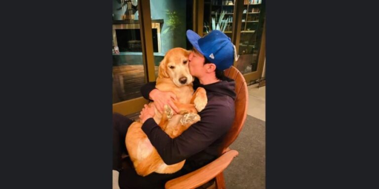 Rescued Dog Now Lives Her Best Life With Her Famous Dad Daniel Henney