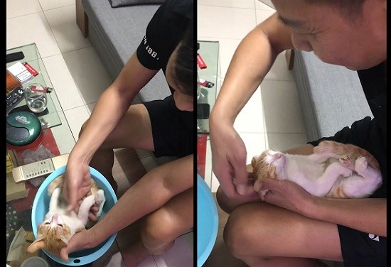 Grandpa and Kitten Give Adorable Baby Bath Demonstration to Expecting Parents