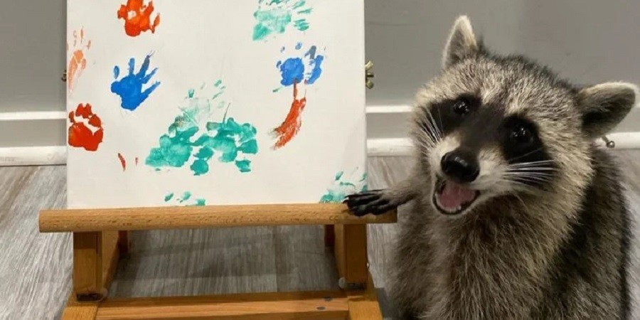 These 15 Photos of Raccoons Prove that Even "Trash Pandas" are Adorable