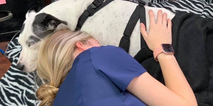 Compassionate Vet Tech Comforts Dying Dog with her Presence