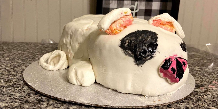 Dog Mom Makes Cake that Looks as Goofy as her Dog