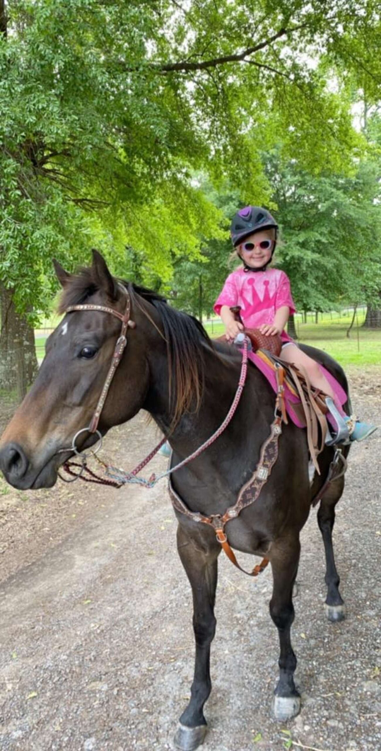 5-year-old girl sneaks her horse into her r photo