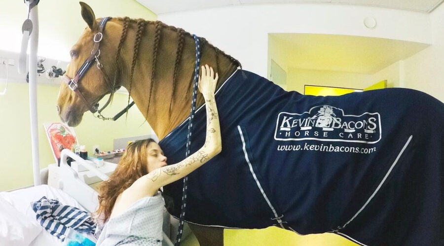 dr. peyo the therapy horse