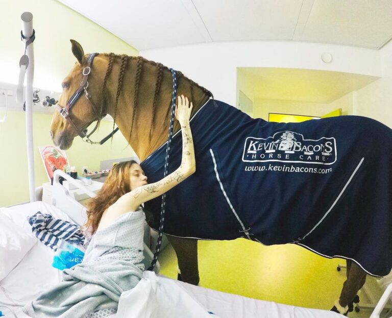 horse in the hospital shirt