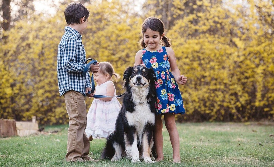 Dog was the Most Behaved During Photo Shoot with Human Siblings