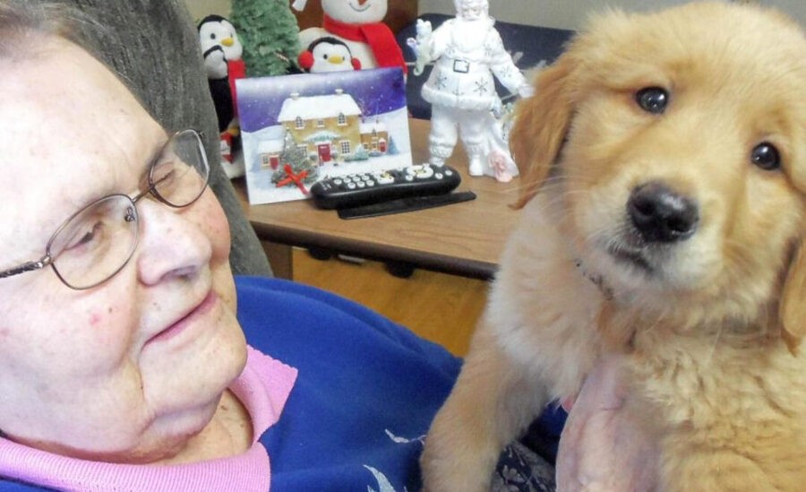 Puppy lights up nursing home in South Dakota