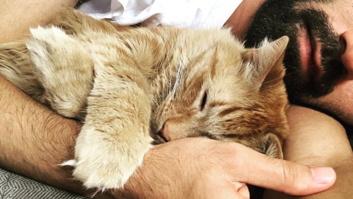 Talkative Cat Loves Cuddling and Chatting with Dad