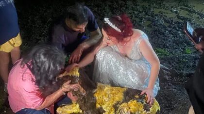 Bride helps deliver calf in the mud in her wedding gown