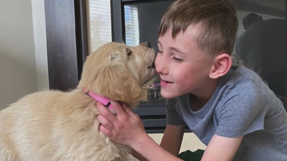 Puppy with Missing Paw becomes BFFs with Boy with Prosthetic Leg