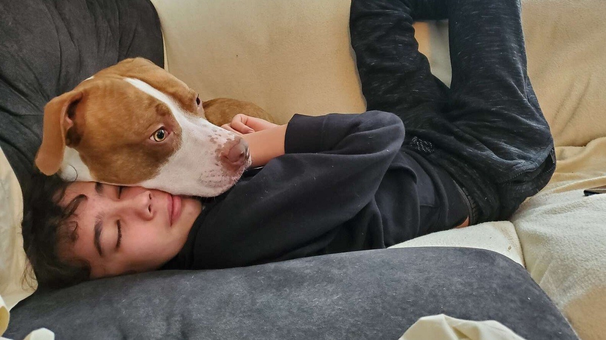 Rescue Pittie Saves Human Brother's Life