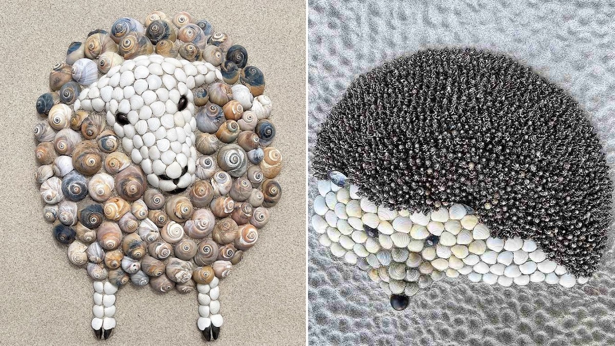Artist Sculpts Beautiful Animal Mosaics from Seashells at the Beach