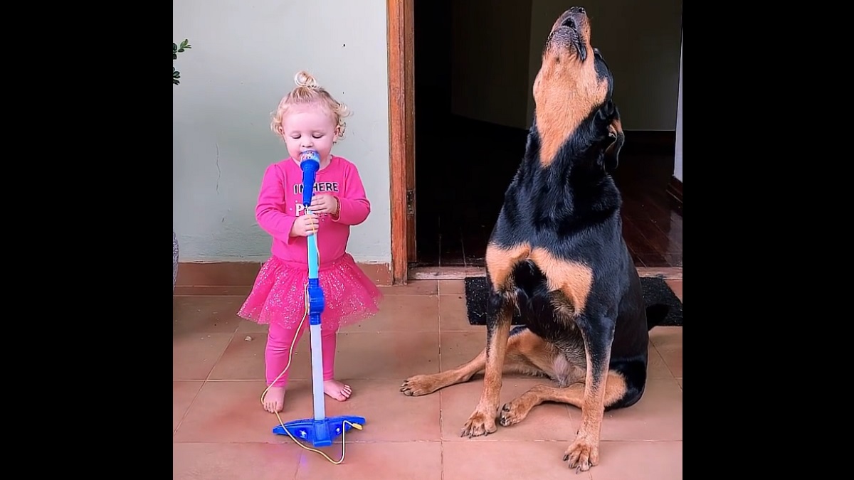 Toddler and Dog BFF Love Performing their Howling Duets