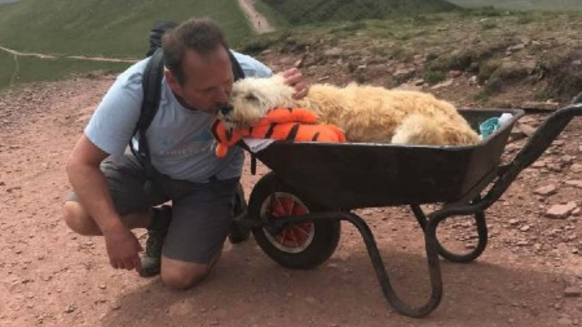 Dad gives sick dog one last trip to his favorite mountain