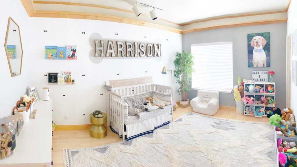 woman creates beautiful nursery for dog Archives ) Healthy Happy News