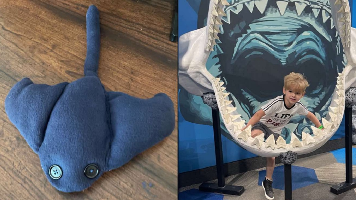 Online strangers help out mom who had to sew manta ray stuffed toy for son’s birthday