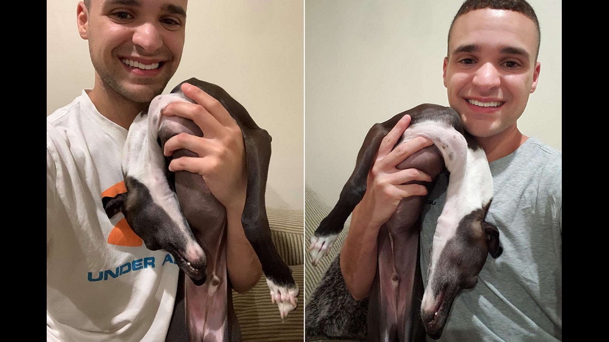 Pup Turns Liquid When He's Tired of Taking Pictures
