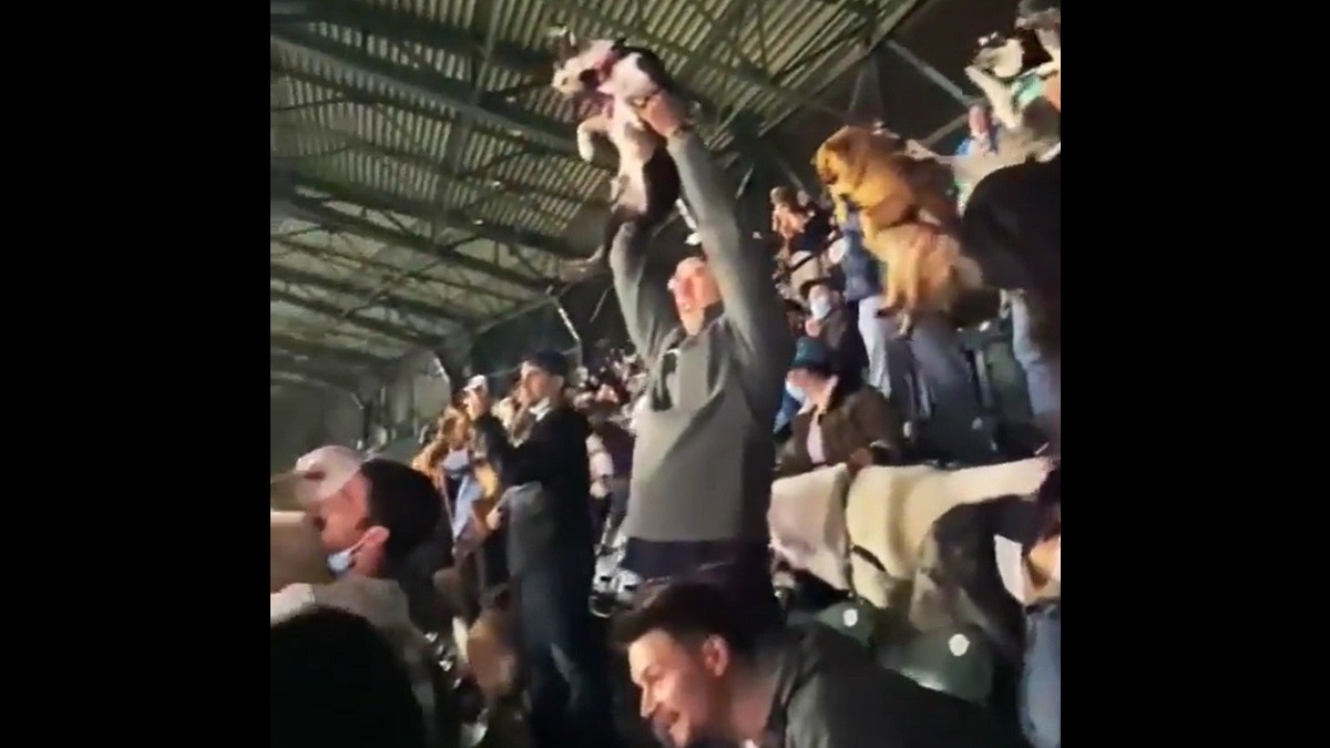 Baseball Fans Lift Up their 'Lion King' Pups for the Simba Cam