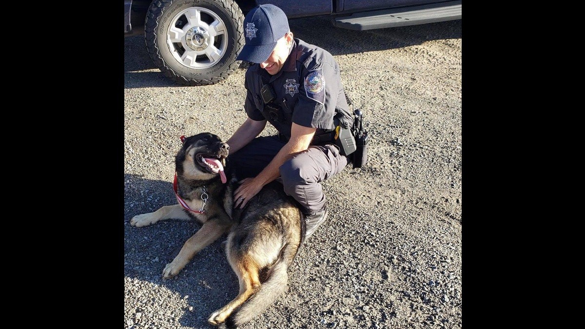 Trooper rushes to adopt rescue dog about to be put down