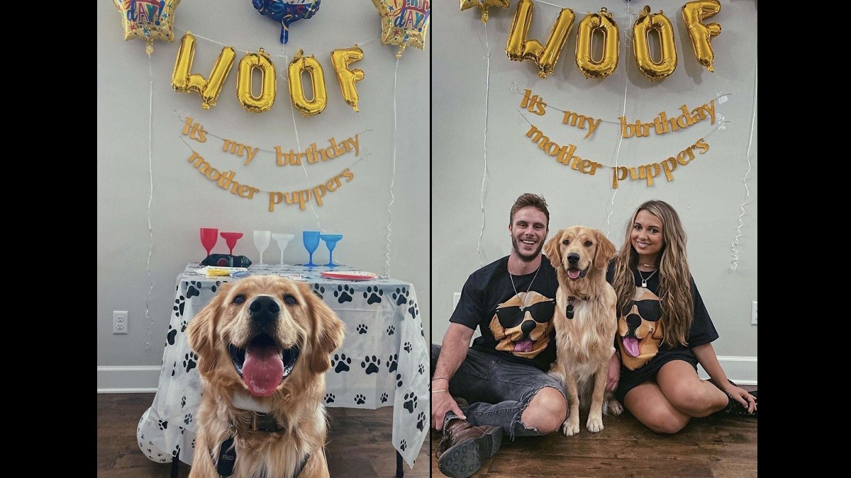 beloved dog gets surprise birthday party