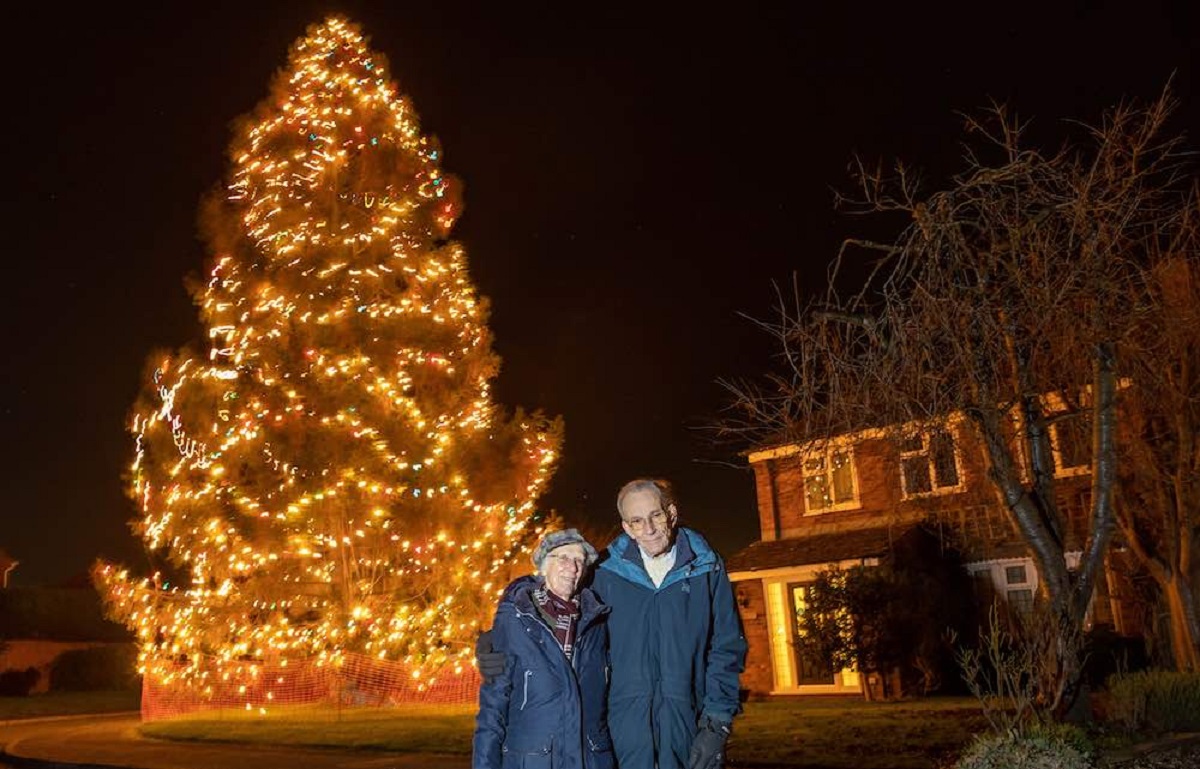 50-ft Christmas Tree Planted in 1978 Lights Up Dark Village