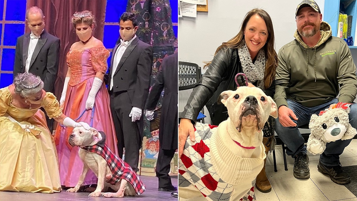 Rescued Dog Finds Love in 'Nutcracker' Role and New Home