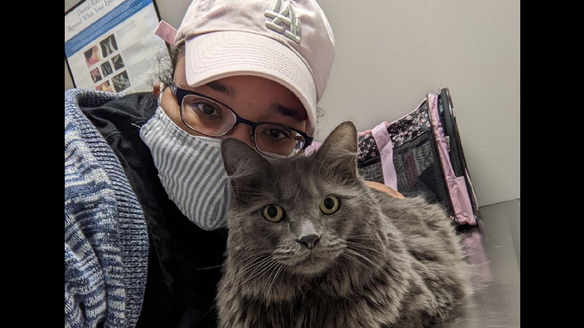 Woman asks Reddit for help for sick cat and the community delivered