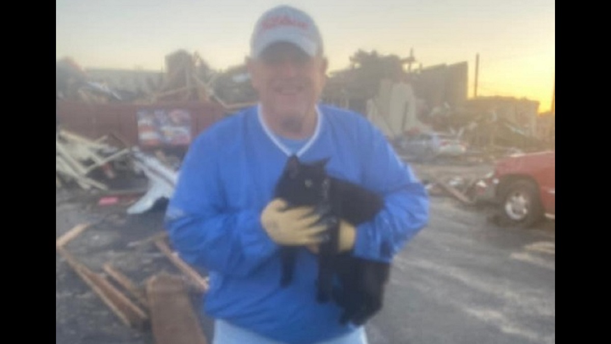 cat survives getting trapped under rubble after tornado