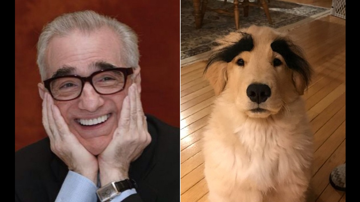Animals who are Clearly Celebrity Doubles
