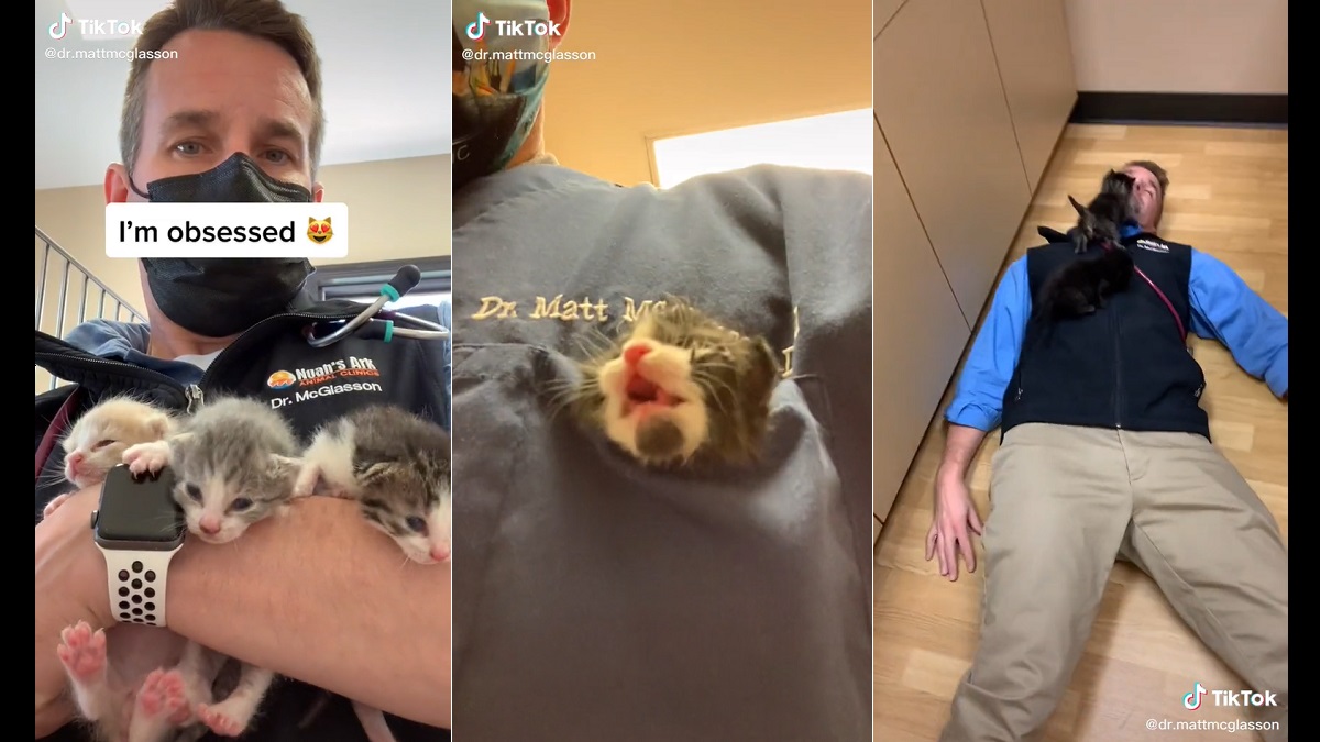 Veterinarian Gives us a Peek into his Daily Meetings with Adorable Pets