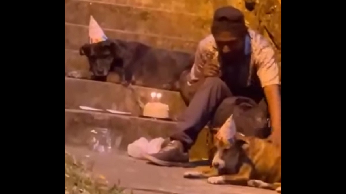 homeless man treats dog birthday