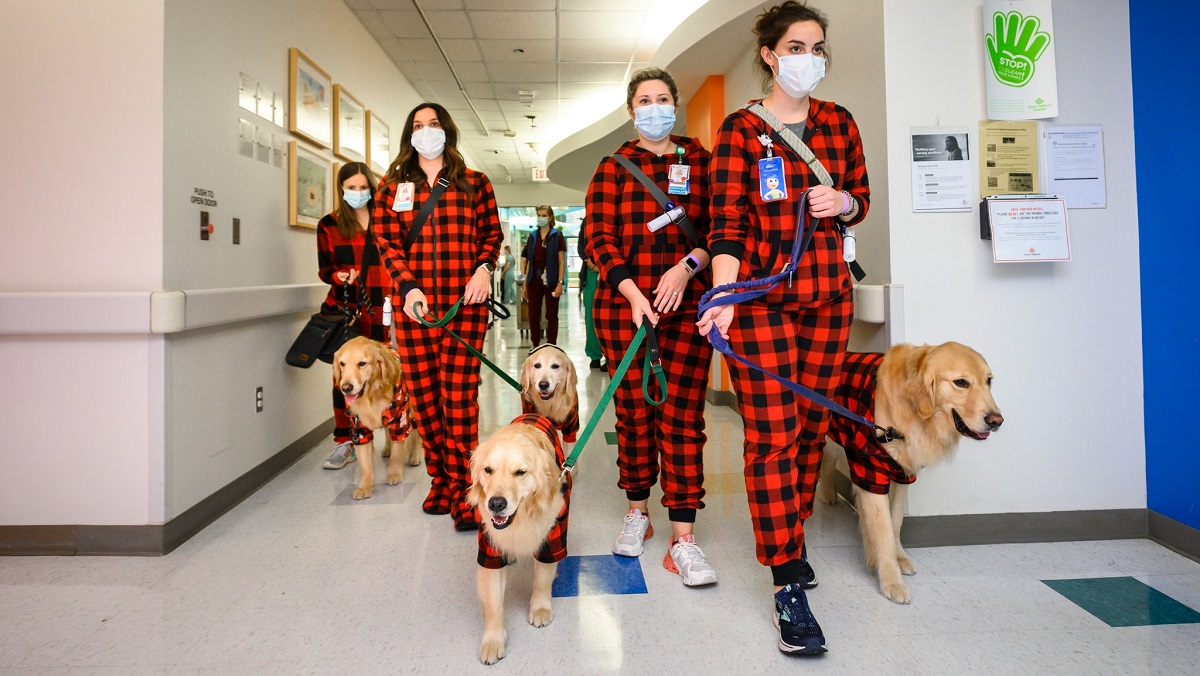service dogs Bring Joy To Hospitalized Children