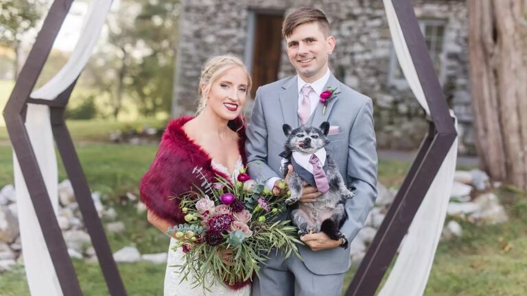 senior-dog-fulfills-role-as-best-pup-in-parents-wedding-healthy-happy-news