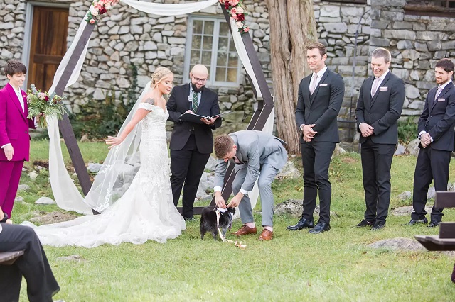 Senior dog fulfills role as ‘Best Pup’ in parents' wedding