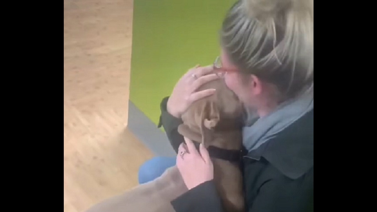 Stolen pit bull has emotional reunion with owner after 2 years