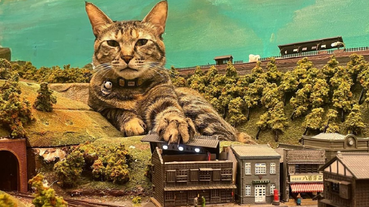 Stray cats lounging on miniature models help reinvigorate restaurant amid pandemic