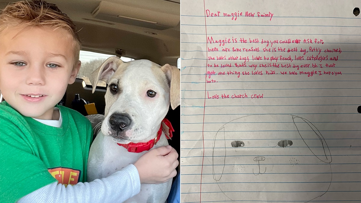 Boy slips in sweet notes praising foster dog for adopters