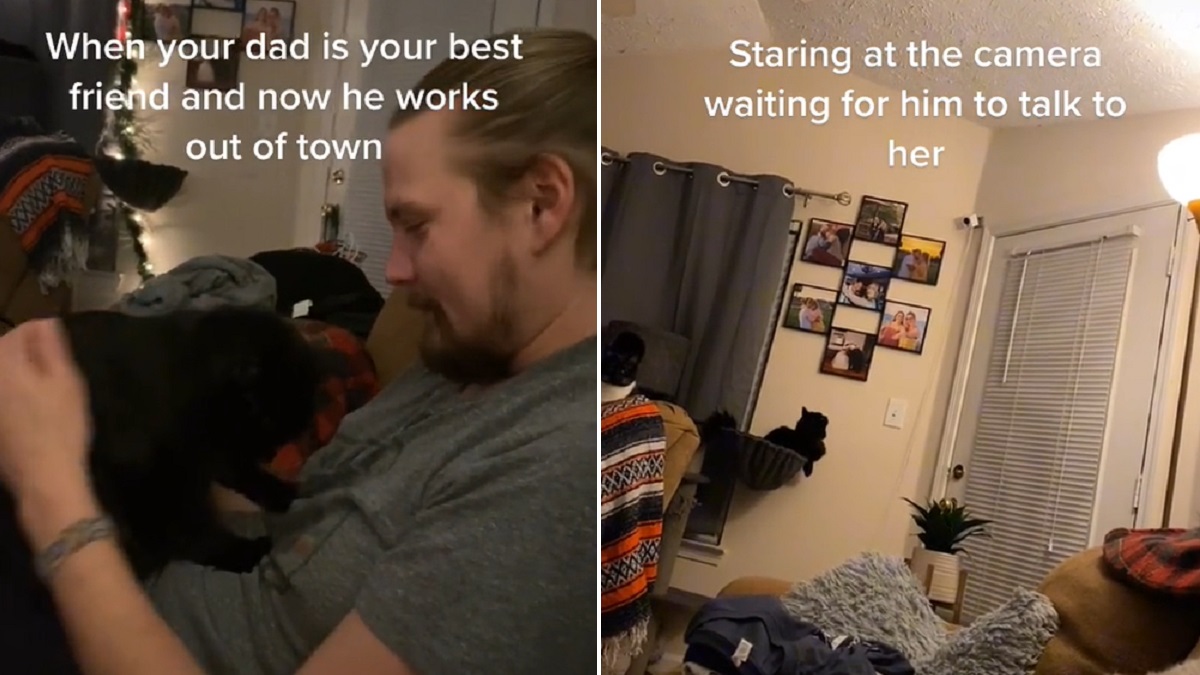 Cat missing her dad stays by pet camera to listen to his voice