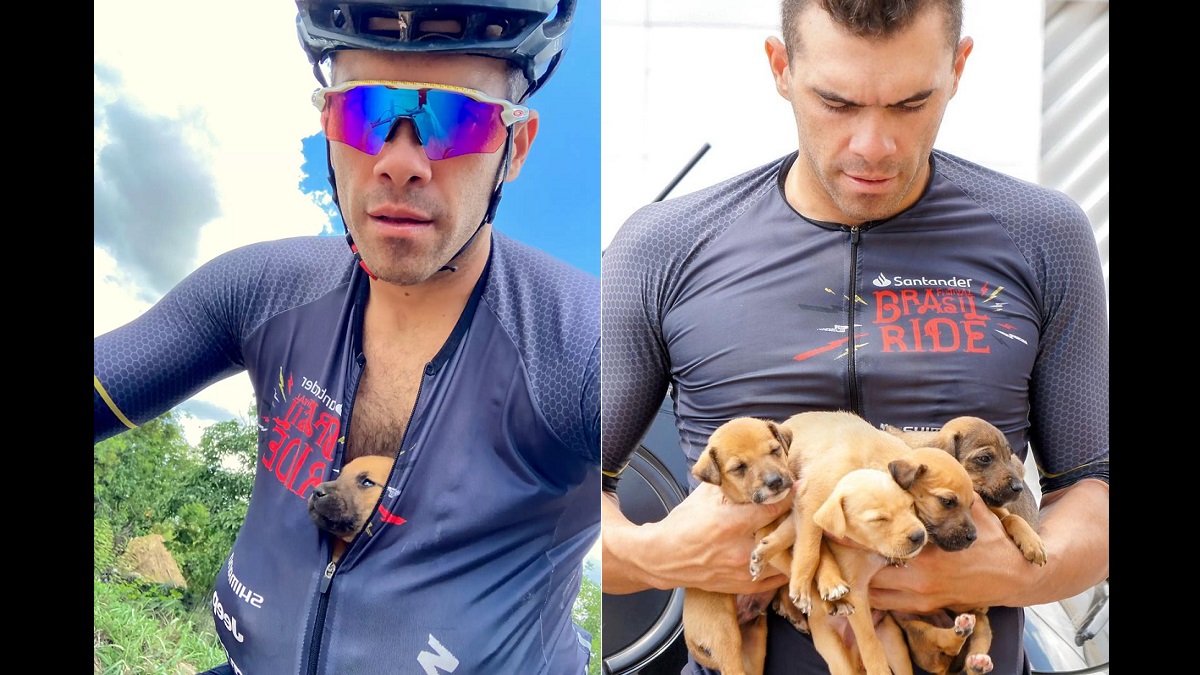Cyclist rescues abandoned puppies and finds their forever homes