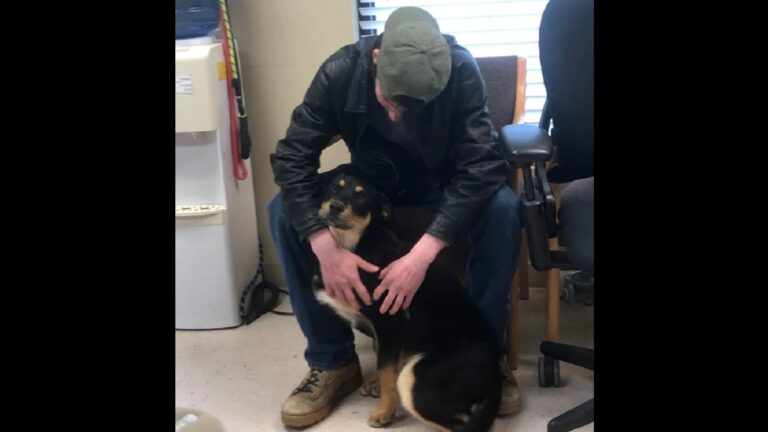 homeless teen reunites with dog he had to surrender to shelter