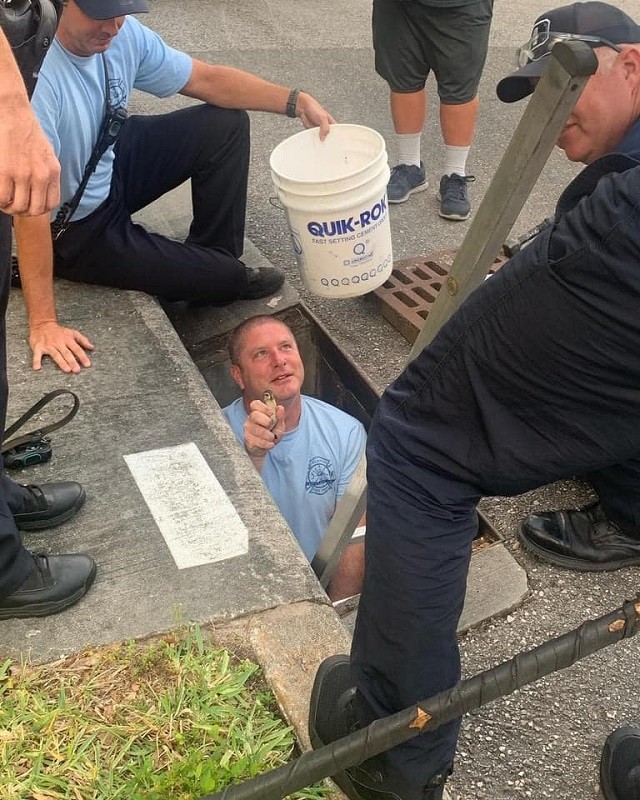 Firefighters rescue ducklings from storm drain and waited with them for their mom
