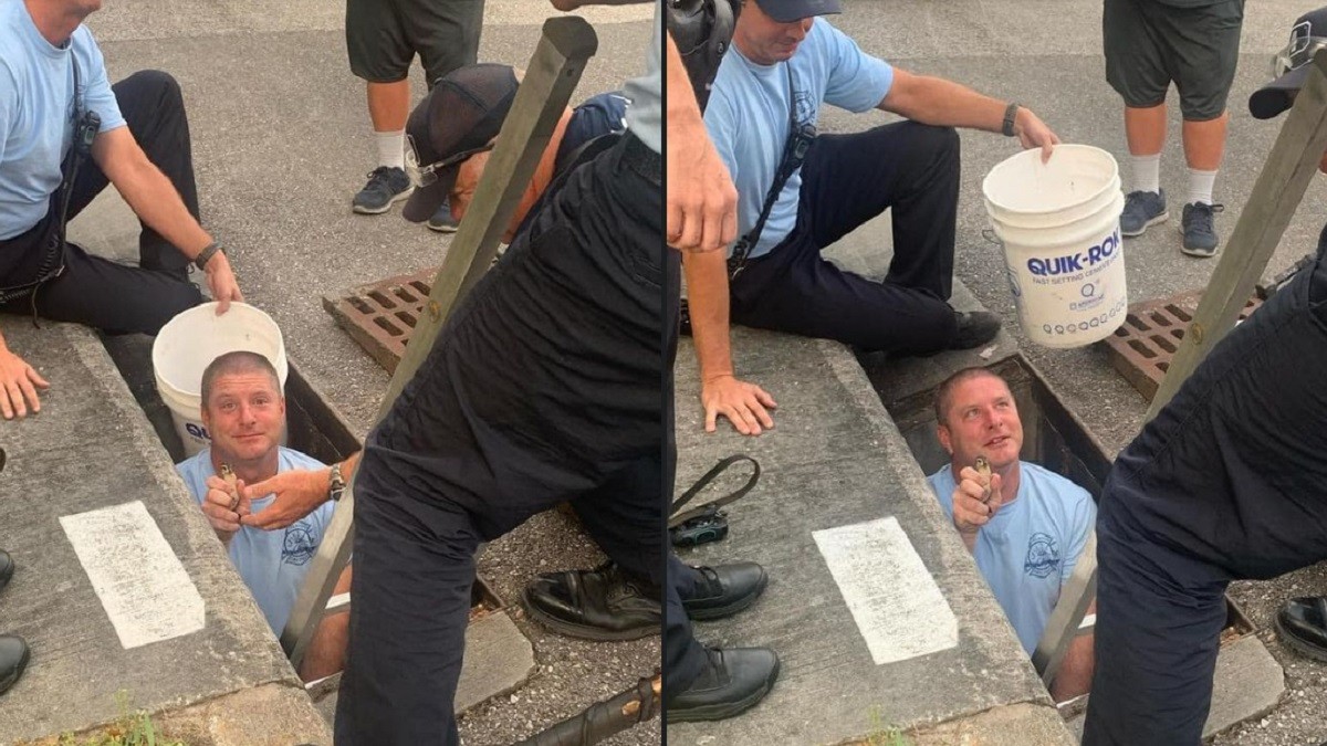 Firefighters rescue ducklings from storm drain and waited with them for their mom